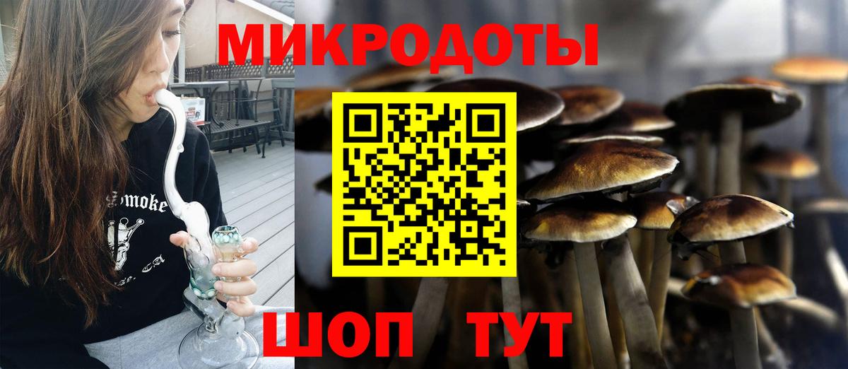 Псилоцибиновые грибы GOLDEN TEACHER Омск