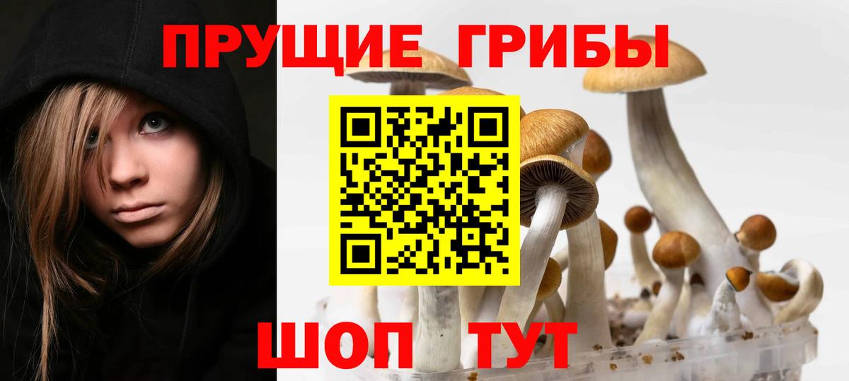 Галлюциногенные грибы GOLDEN TEACHER  Вход с VPN  Псилоцибиновые грибы Magic Shrooms  Омск 